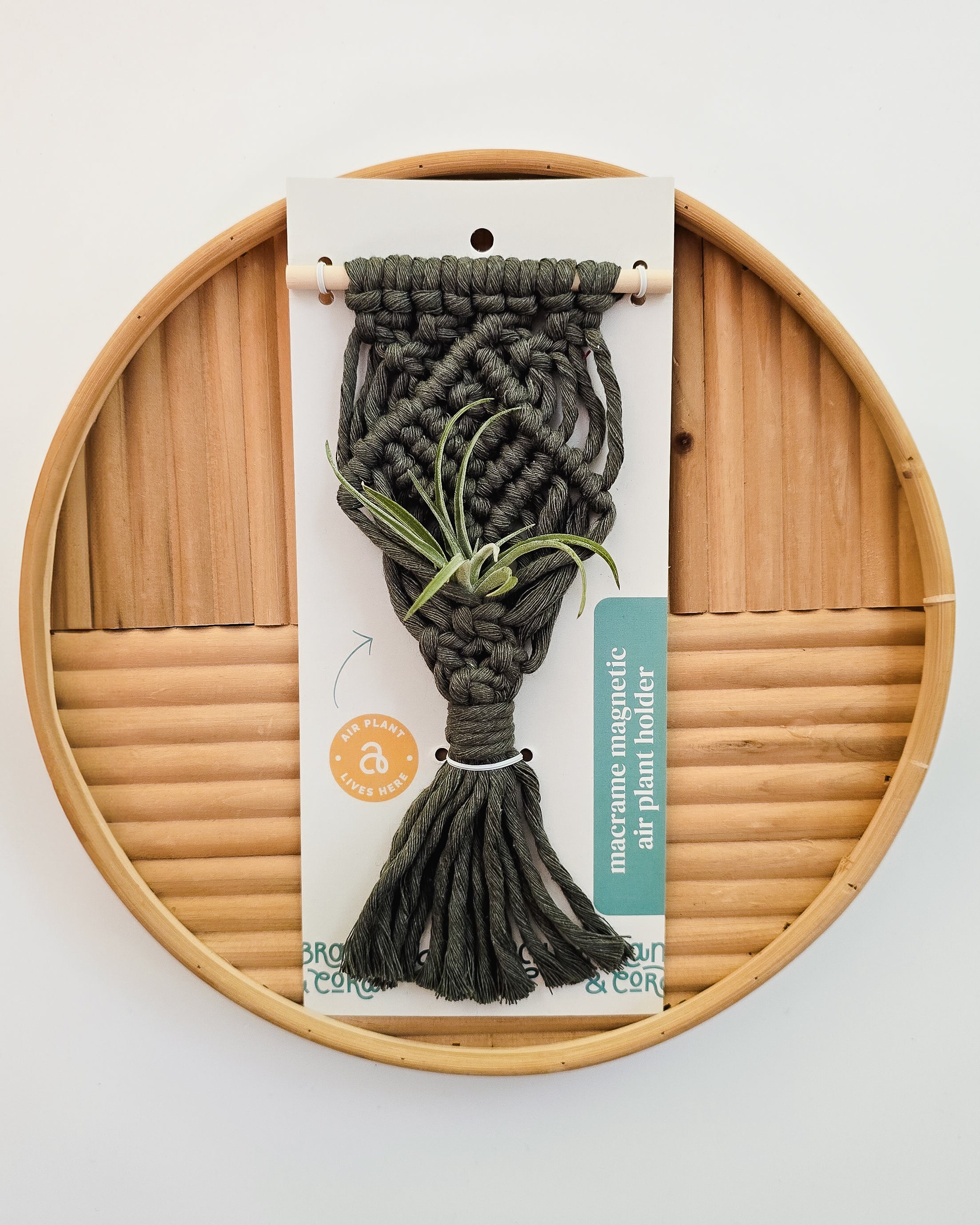 Mini Magnetic Macrame Air Plant Hangers – Handmade Boho Decor